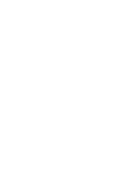 logo Samenwerkende Topklinische opleidingsZiekenhuizen